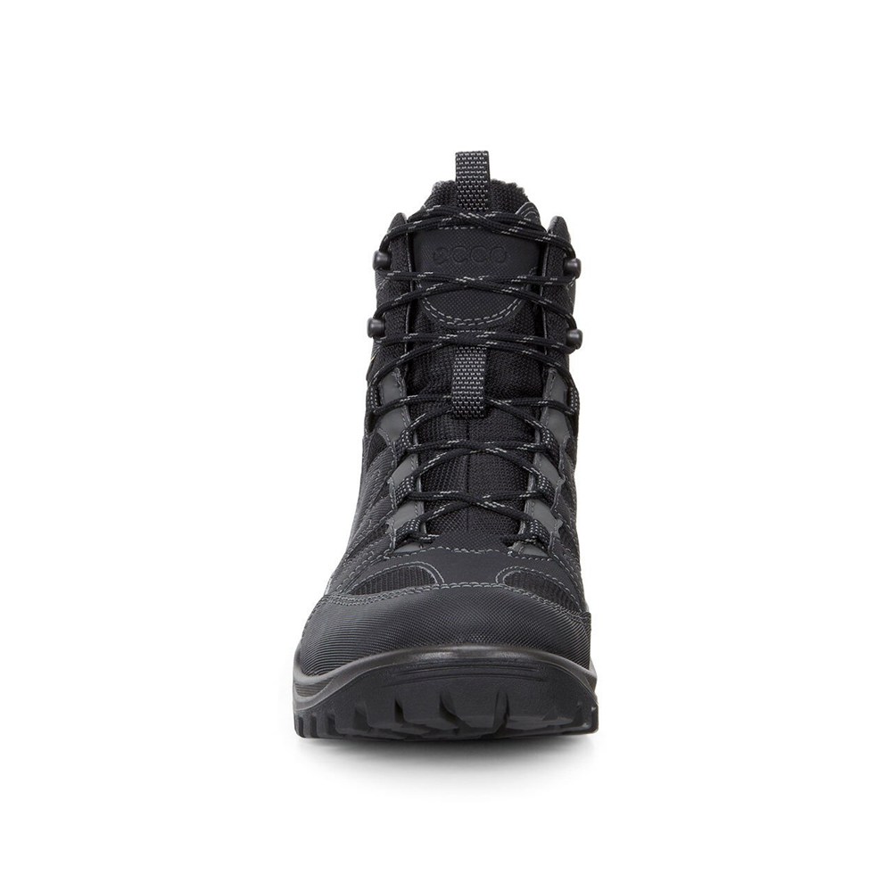 Mens Hiking Shoes - ECCO Xpedition Iii Gtx - Black - 6048AMLBQ